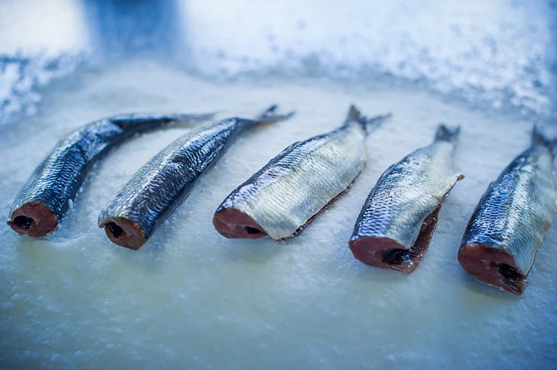 Herring-Salted.jpg