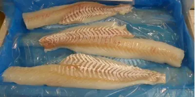 Cod Fillet (Shatterpack) - Cod Fillet (Shatterpack) - Cod Fillet (Shatterpack)