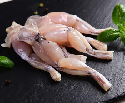 Frog legs - Frog legs