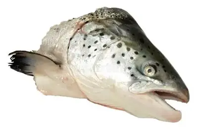 Salmon Heads - Salmon Heads