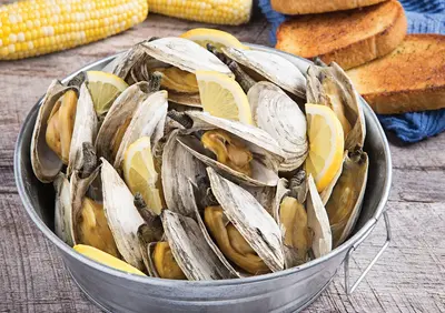 C-D-ClamSteamer - Clam Steamer