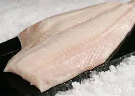 Halibut - Fresh
